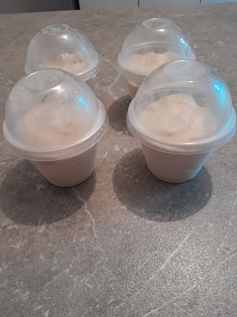 Sorbet coco antillais (1 pièce)